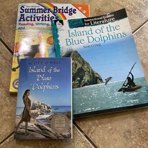 4th - 5th grade Summer Bridge Activities workbook with Island of‎ Blue Dolphin